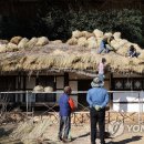 현구생가 이미지