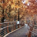 약초명가 이미지