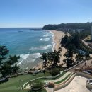 (주)골드오션 | [국내/삼척] 3대가 함께한 완벽한 힐링 여행: 쏠비치 삼척 골드 스위트 오션뷰 &amp; 오션스플레이 후기