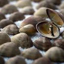 토이포토 이미지