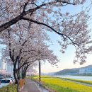 신기강변로 이미지