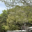 371 | 대전 커피인터뷰, 내돈내산 솔직후기 (주차/명당자리 꿀팁)