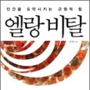 엘랑