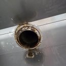 전일맥주 이미지