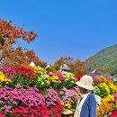 신원거창사건사업소 이미지