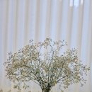 송현농장 이미지