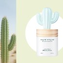 장미화분 모양 석고방향제 | 선인장 디퓨저 100ml 인테리어 방향제 이용 후기