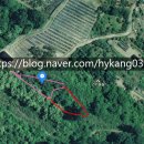 두릉농장 네이버블로그