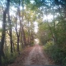 시암골 농장 이미지