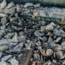 CATS TIME CAFE 이미지