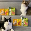 농업회사법인 주식회사 프롬인섹트 | [츄르] 프롬한라스틱으로 처음 딱새우, 전복을 만나다!🍊