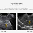 모태안여성병원 이미지