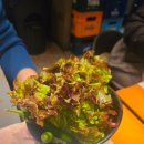 신장동로45번길 | 하남돼지집 스타필드점 삼겹살 내돈내산 후기