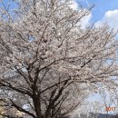 금호강5 이미지