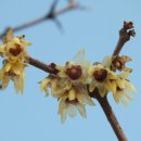 부산수목전시원 이미지