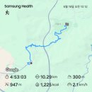 대관령 숲길 힐링 워크 후기(+ 폭우)