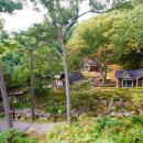 용인자연휴양림 이미지