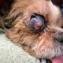 오션동물메디컬센터 이미지