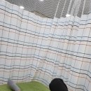 서화정형외과의원 이미지