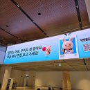 천명전자 | [취업도전기] 2025년 하반기 비씨카드 신입 채용 후기