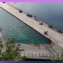 항구제2농장 이미지