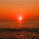 들꽃향기머무는곳 이미지