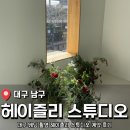 대구 인물 중심 웨딩 토탈 스튜디오 <헤이즐리> 계약후기/짝꿍 할인 종료 (내발내뛰)