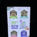 함평담김 | 2024년 함평빛축제 - 7살, 5살 아이와 함께한 후기