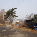 구일농장 이미지