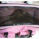 심재웅 동물병원 이미지