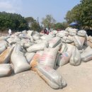 초콜릿 현상금: 가나, 코코아 밀수업자들과 전쟁 중 이미지