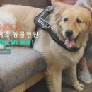 그레이스동물병원 - 강남구 학동로6길 18 | 그레이스동물병원