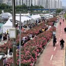 라떼홀(LttH) 이미지