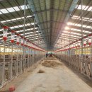 조원진농장 이미지