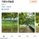 가온누리 농장 이미지