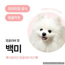 판타펫코리아 | #제품협찬 [강아지 동결건조] 정글키친 눈꽃치킨텐더 솔직 후기