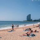 바달로나 이미지