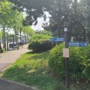 여술로44번길 이미지