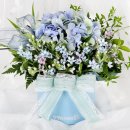 하늘플라워 | 99플라워 (당일수령) 푸른하늘 꽃상자 후기 및 추천