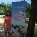 닭마실 이미지