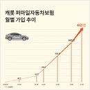 캐롯투어 이미지