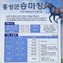 홍성군 승마장 이미지