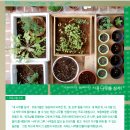 그린씨 이미지