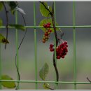 용암초등학교 이미지