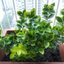 열음농장 이미지