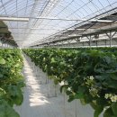 성연농장 이미지