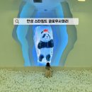 안성 스타필드 글로우사파리 아이와 가볼만한곳 추천