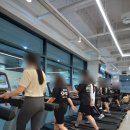 바디맥스 짐 이미지