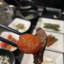 퀸램양꼬치
