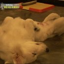 종일농장 이미지